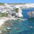 Corse