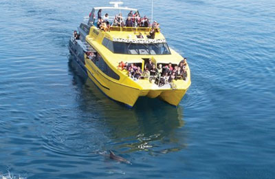 Explore New Zealand