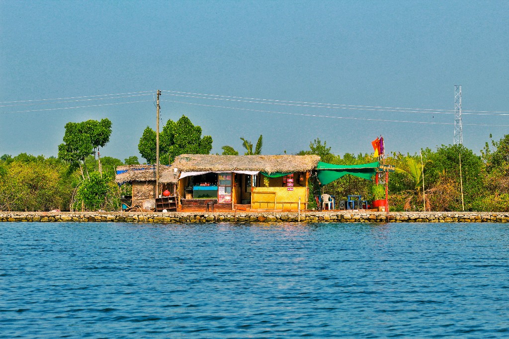 rajesh-ram-27OGXjGpjl4-unsplash (1).jpg